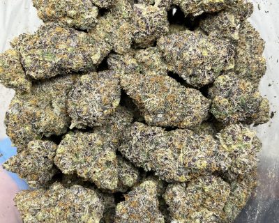 BLACK WIZARD LSO - Image 1